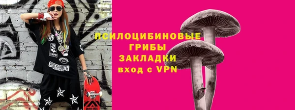 метадон Армянск