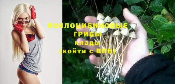 метадон Армянск