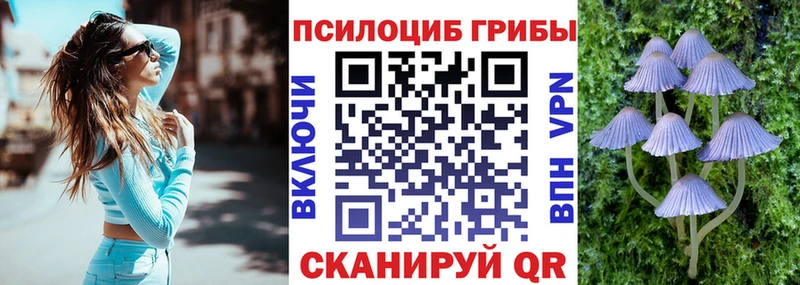 Галлюциногенные грибы MAGIC MUSHROOMS  OMG ссылки  Любань 