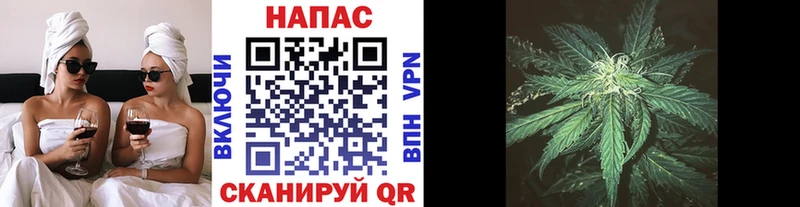Конопля MAZAR  Любань 